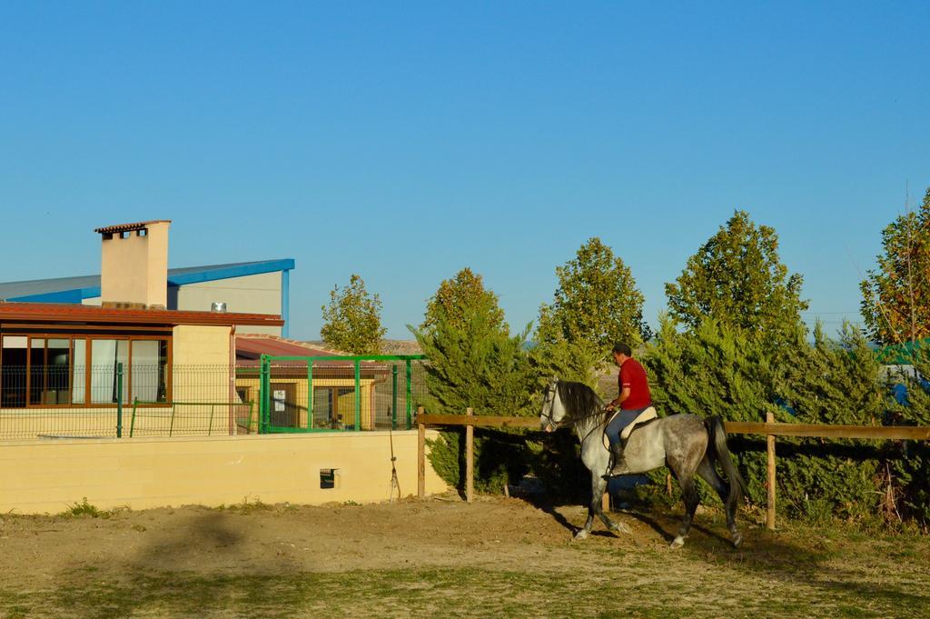 Rural Reillo Alojamientos Rurales Exterior photo